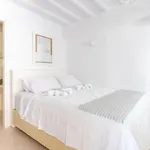 Aniko Chora