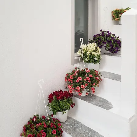 Aniko Chora * Mykonos Town