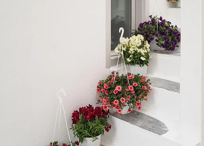 Aniko Chora * Mykonos Town